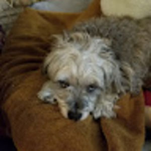 Meet your Posher, Danny